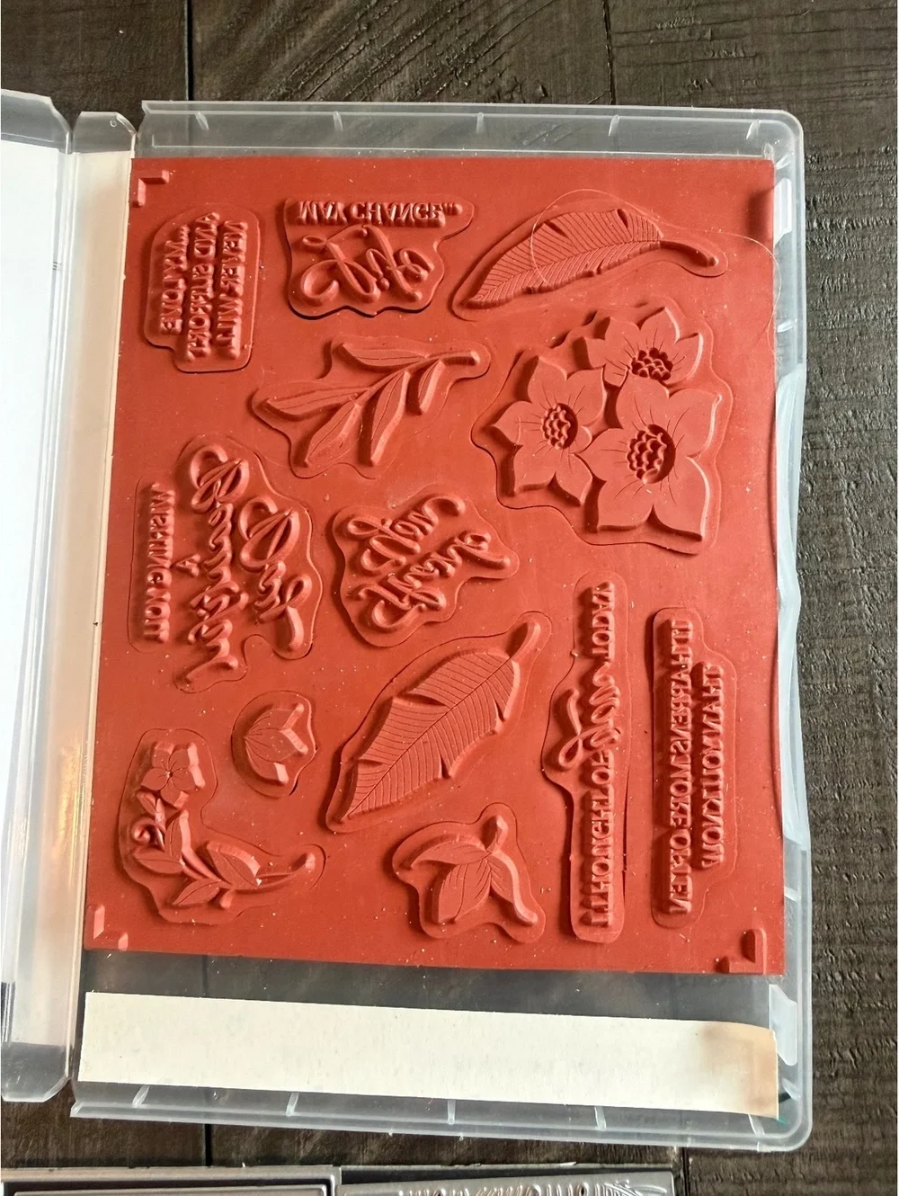 Stampin’ Up Tranquil Thoughts stamp set with Tranquil Dies die cut set
